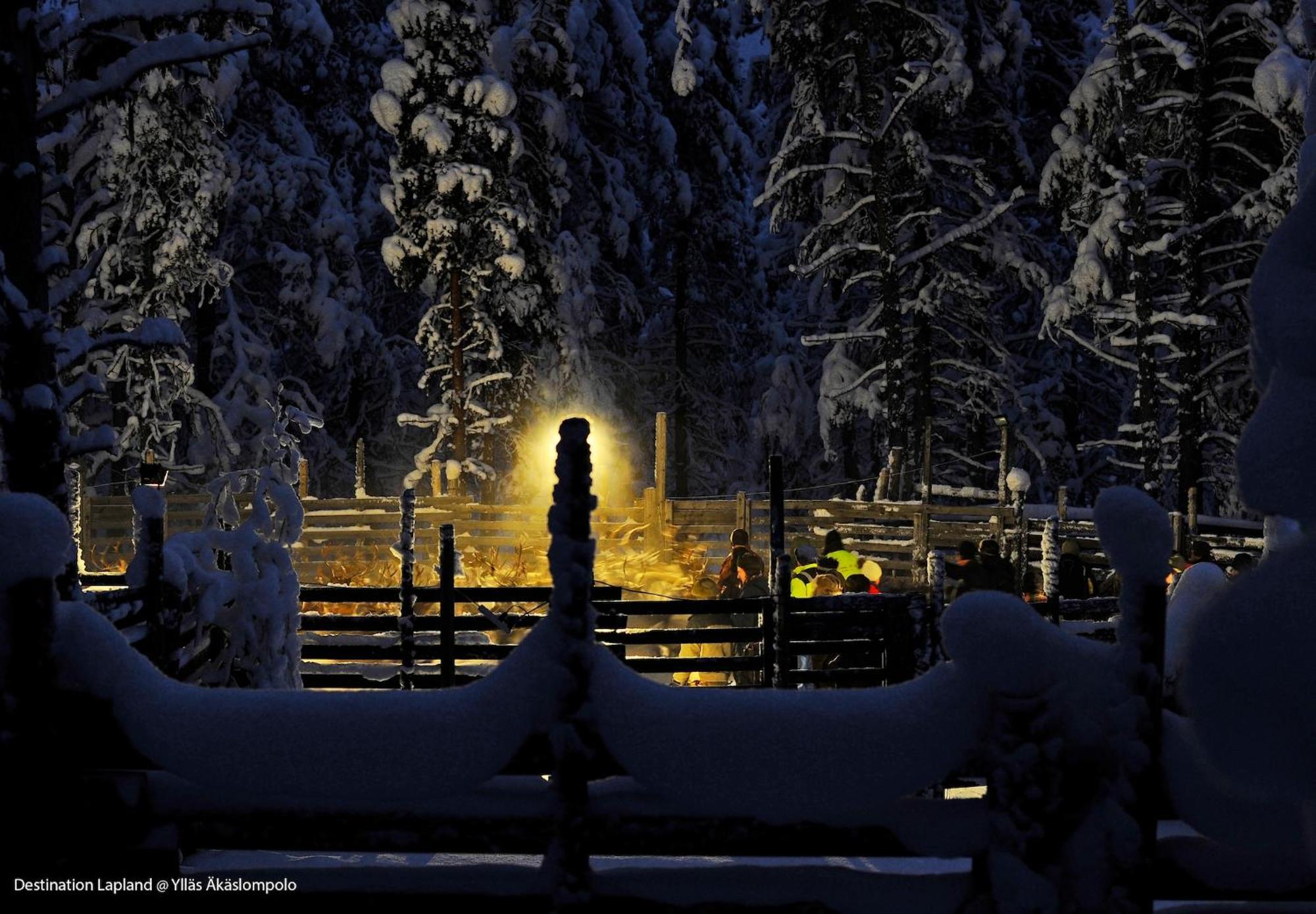 Nivunki Village Muonio Extérieur photo
